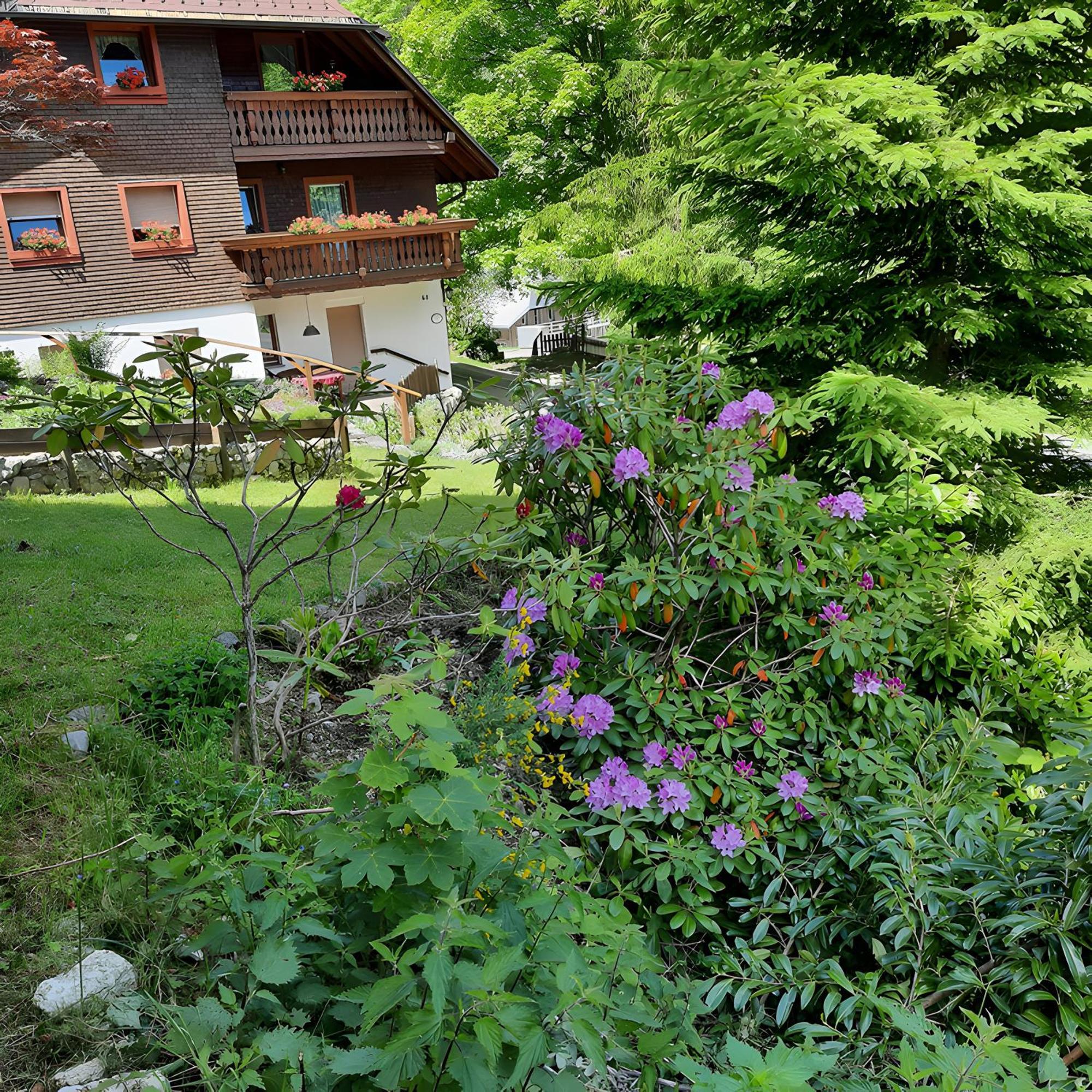 Appartement Haus Maria à Todtnau Extérieur photo