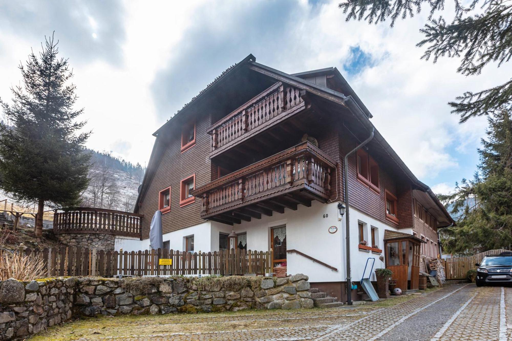 Appartement Haus Maria à Todtnau Extérieur photo